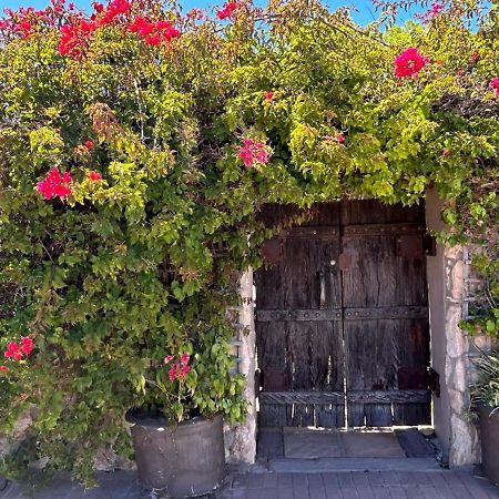 Room In Guest Room - Cozy Crner Kitehouse Langebaan Exterior foto