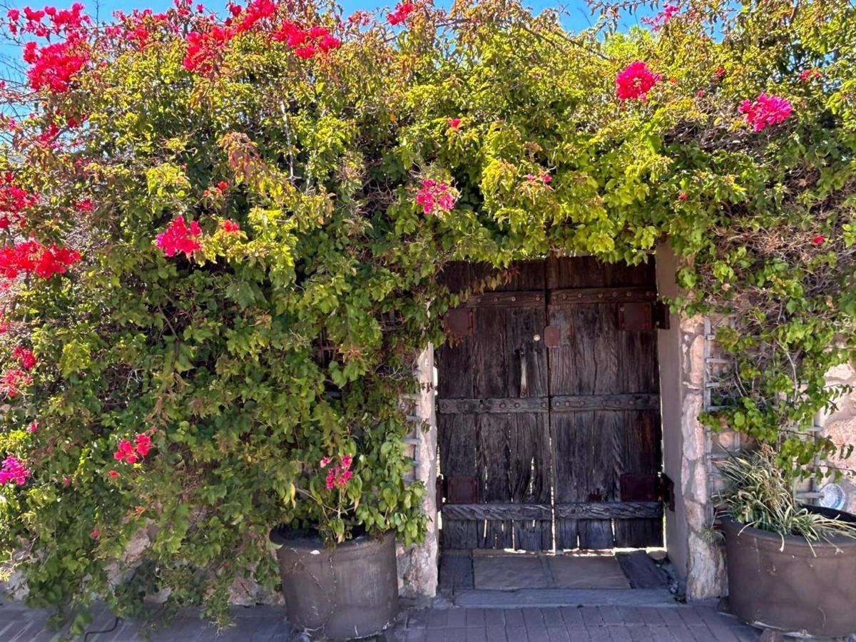 Room In Guest Room - Cozy Crner Kitehouse Langebaan Exterior foto